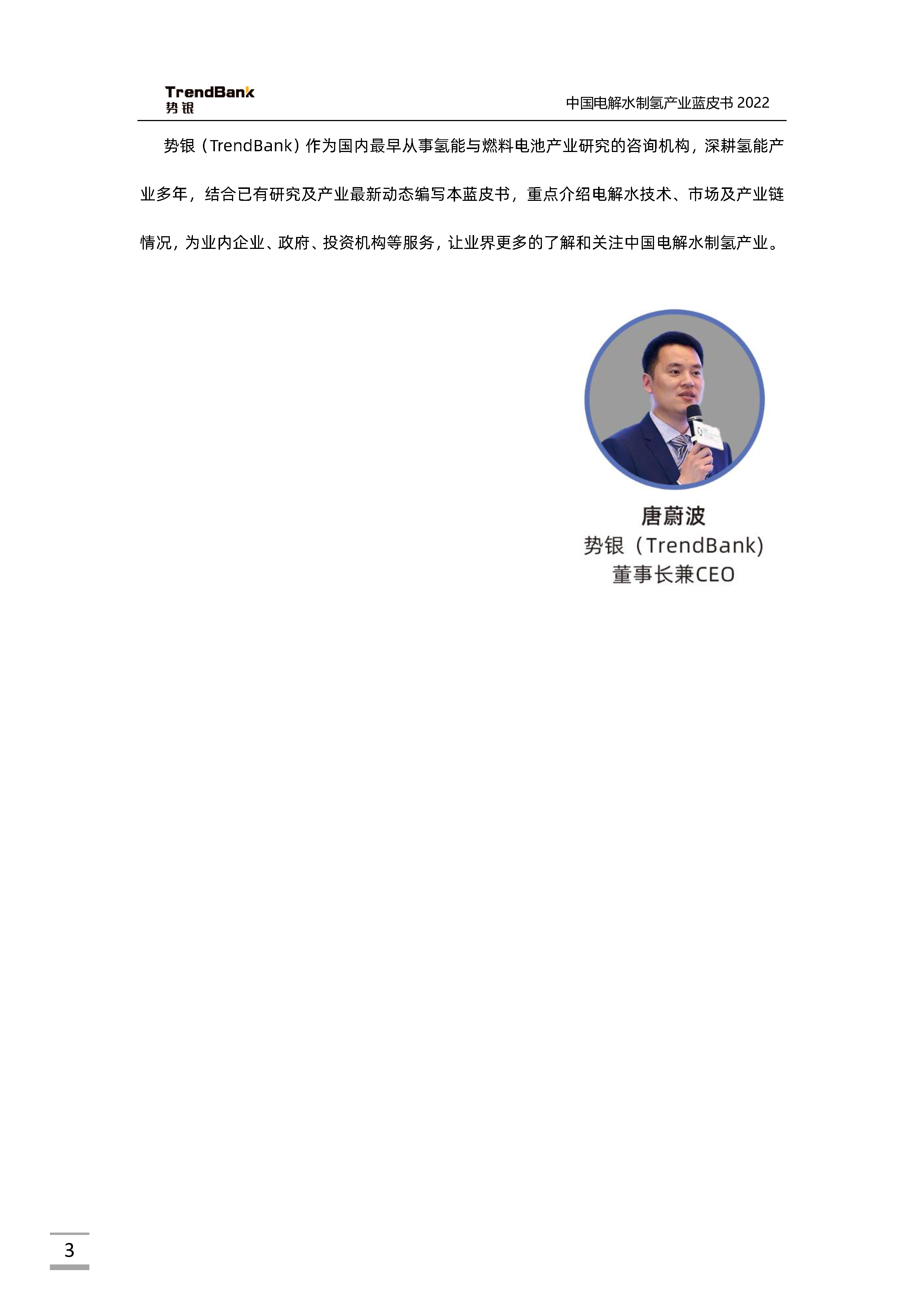 势银2022中国电解水制氢产业蓝皮书88页